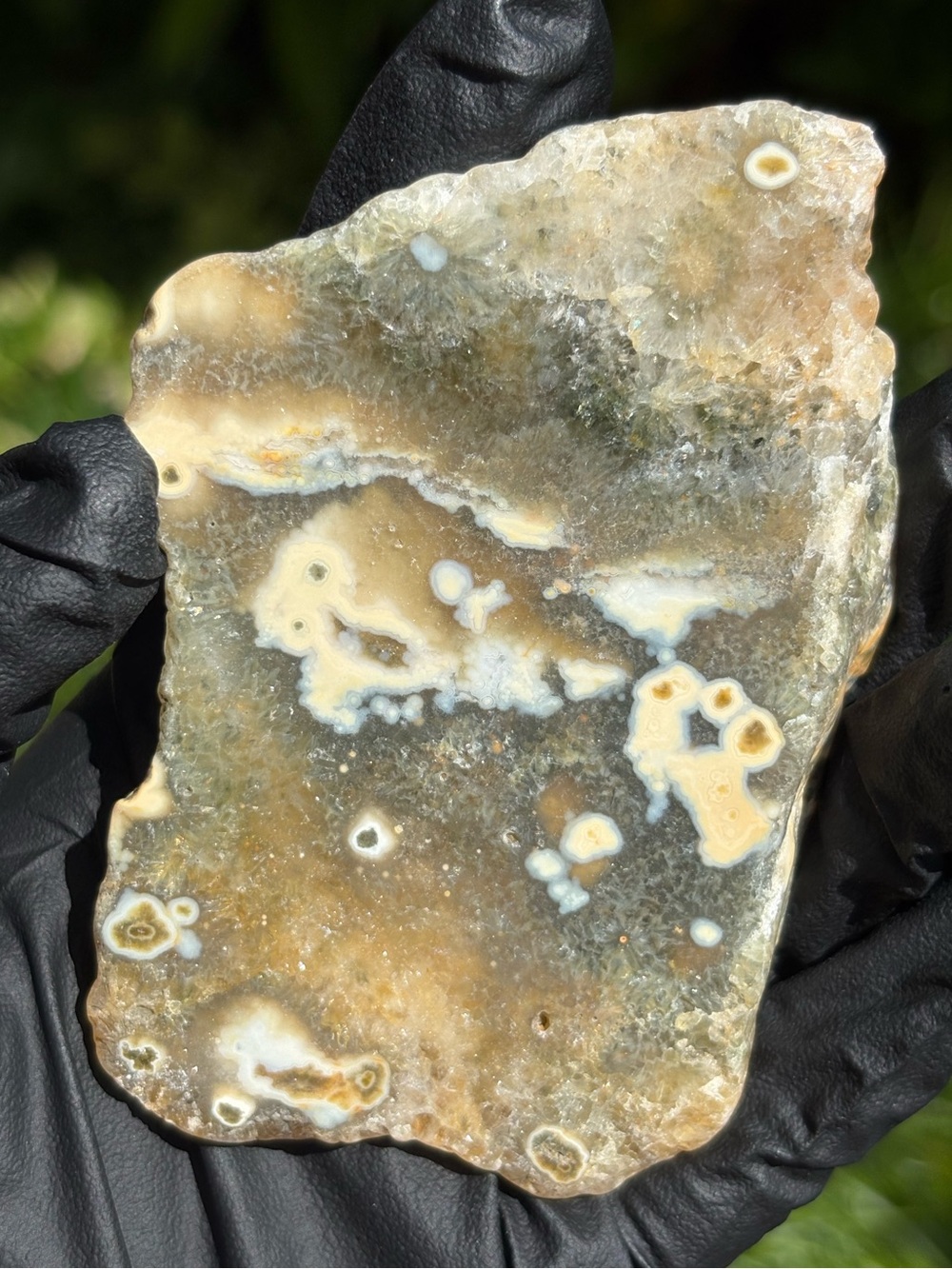 Ocean Jasper Crystal Slab - Sea Jasper - Polished Orbicular Jasper